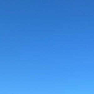 Meet your Posher, Ariana